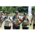 Team 02 / J5 - Epreuve VTT / Trek sur Tuba Island