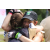 J5 - Epreuve VTT/Trek sur Tuba