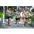 Team 60 / J6 - Epreuve Surprise Kuala Lumpur