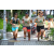 Team 73 / J6 - Epreuve Surprise Kuala Lumpur