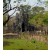 Cambodge Raid 2014