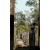 Cambodge Raid 2014