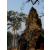 Cambodge Raid 2014