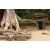Cambodge Raid 2014