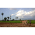 Cambodge Raid 2014