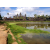 Cambodge Raid 2014