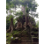 Cambodge Raid 2014