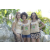 Team 86 / Raid l'Arbre Vert Amazones Cambodge