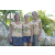 Team 65 / Raid l'Arbre Vert Amazones Cambodge