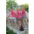Team 15 / Raid l'Arbre Vert Amazones Cambodge