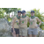 Team 58 / Raid l'Arbre Vert Amazones Cambodge