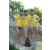 Team 58 / Raid l'Arbre Vert Amazones Cambodge