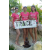 Team 07 / Raid l'Arbre Vert Amazones Cambodge