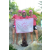 Team 39 / Raid l'Arbre Vert Amazones Cambodge
