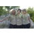 Team 24 / Raid l'Arbre Vert Amazones Cambodge