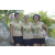 Team 85 / Raid l'Arbre Vert Amazones Cambodge