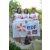 Team 28 / Raid l'Arbre Vert Amazones Cambodge
