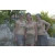 Team 41 / Raid l'Arbre Vert Amazones Cambodge