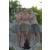 Team 41 / Raid l'Arbre Vert Amazones Cambodge