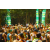 Raid l'Arbre Vert - Trek 17 km