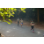 Team 07 / Raid l'Arbre Vert - Trek 17 km
