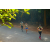 Team 07 / Raid l'Arbre Vert - Trek 17 km