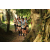 Team 16 / Raid l'Arbre Vert - Trek 17 km