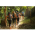 Team 13 / Raid l'Arbre Vert - Trek 17 km