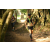Team 16 / Raid l'Arbre Vert - Trek 17 km