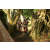 Team 39 / Raid l'Arbre Vert - Trek 17 km