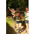 Team 19 / Raid l'Arbre Vert - Trek 17 km