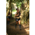 Team 37 / Raid l'Arbre Vert - Trek 17 km