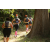 Team 11 / Raid l'Arbre Vert - Trek 17 km