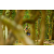 Team 07 / Raid l'Arbre Vert - Trek 17 km