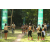 Raid l'Arbre Vert - Trek 17 km