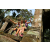 Team 19 / Raid l'Arbre Vert - Trek 17 km