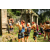 Raid l'Arbre Vert - Trek 17 km