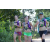 Team 12 / Raid l'Arbre Vert - Trek 17 km