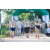 Team 29 / Raid l'Arbre Vert - Trek 17 km
