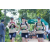 Team 30 / Raid l'Arbre Vert - Trek 17 km