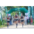 Team 37 / Raid l'Arbre Vert - Trek 17 km