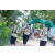 Team 50 / Raid l'Arbre Vert - Trek 17 km