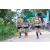 Team 52 / Raid l'Arbre Vert - Trek 17 km