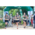 Team 65 / Raid l'Arbre Vert - Trek 17 km