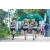 Team 65 / Raid l'Arbre Vert - Trek 17 km