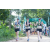 Team 72 / Raid l'Arbre Vert - Trek 17 km