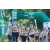 Team 76 / Raid l'Arbre Vert - Trek 17 km