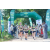 Team 77 / Raid l'Arbre Vert - Trek 17 km