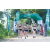 Team 77 / Raid l'Arbre Vert - Trek 17 km
