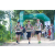 Team 79 / Raid l'Arbre Vert - Trek 17 km